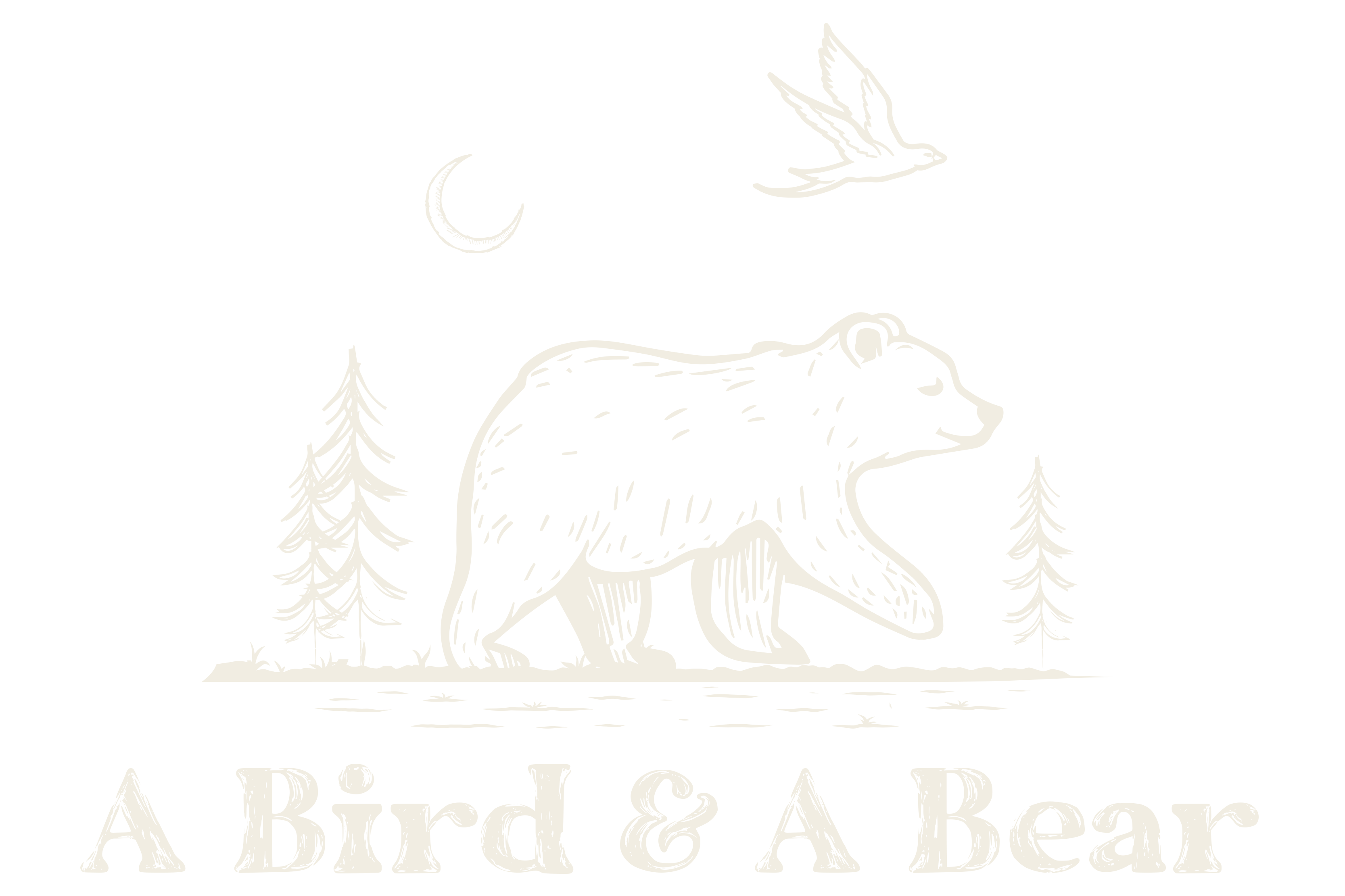 A Bird and A Bear
